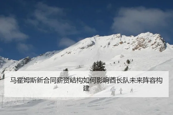 ma-huo-mu-si-xin-he-tong-xin-zi-jie-gou-ru-he-ying-xiang-qiu-zhang-dui-wei-lai-zhen-rong-gou-jian-2-725.jpg