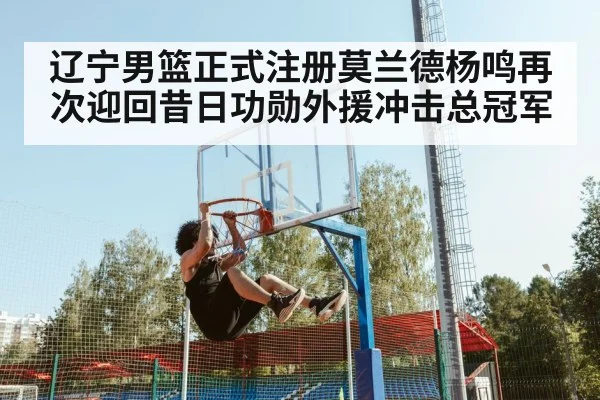 辽宁男篮正式注册莫兰德杨鸣再次迎回昔日功勋外援冲击总冠军