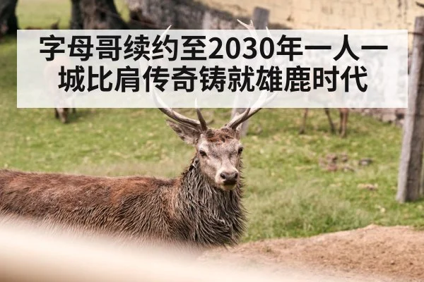 字母哥续约至2030年一人一城比肩传奇铸就雄鹿时代